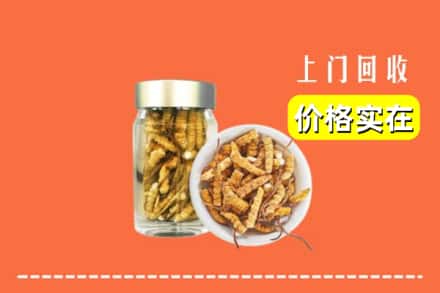 收购资讯:徽县回收散虫草