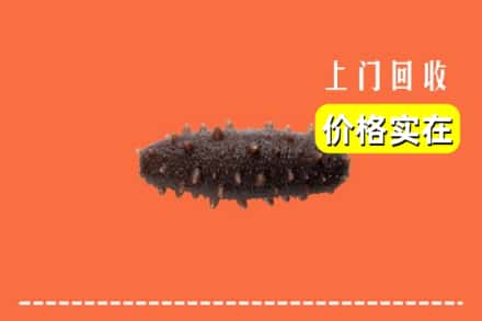 收购资讯:徽县回收海参
